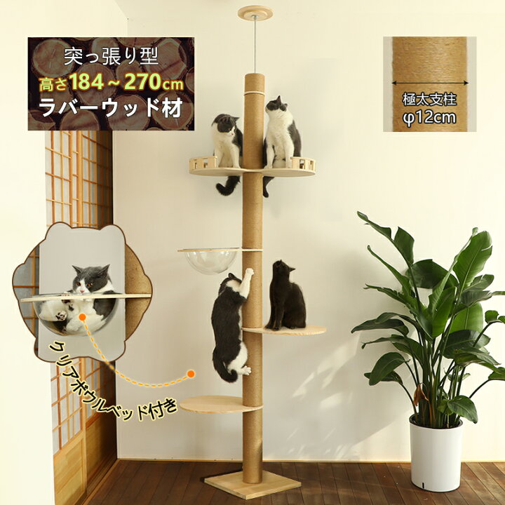 楽天市場】キャットタワー 突っ張り 木製 スリム 大型猫 省スペース  