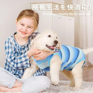 yw500~N[|LzhbOEFA p p㕞 p ȒPE  ^ p Lp p㕞 p ybgp Ckp lRp {[_[ ی 畆ی ی앞 J
