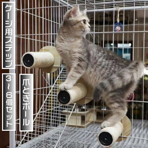 L P[WpXebv 3`6Zbg Vׂ܂Ƃ|[ VRTCU ~ߕt 15cm P[Wp ܂Ƃ lR ˂ ܂Ƃ Ki LpXebv   ˂ ⏕Xebv P[W