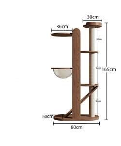 Lbg^[ X ^Lp L^[   킢 CeA u R ܂Ƃ  RpNg ȃXy[X lC ^s |h~ 165CM