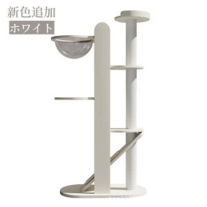 Lbg^[ X ^Lp L^[   킢 CeA u R ܂Ƃ  RpNg ȃXy[X lC ^s |h~ 165CM