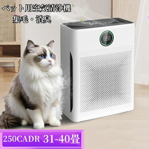 yoׁzybgpC@ L    ͋z LC WсEL@ Lpz ybg̔ ԕ o ߕq򉻂 ~[g 4wtB^ X}zŊȒPݒ聕蓮