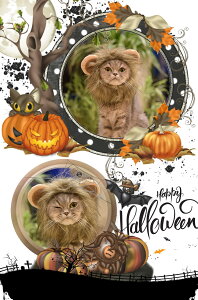 ybgXq  hbOEFA ڂ nEB L 킢 ybgp Lp Halloween WbN^Xq ybg  Lnbg ybgpRXv ybgXq ybgpRX