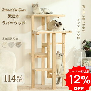 yX[p[SALE×12OFFzyoׁzLbg^[ VR i` L^[ u   xbh  lR Lp ^s XgX 萫Q k V