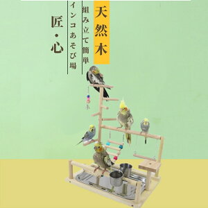 yX[p-SALE×10OFFzCR Vя CR  ~܂ X^h o[hgC CR AX`bN o[h AX`bN xeꏊ IEuR ̗Vя ̑  x