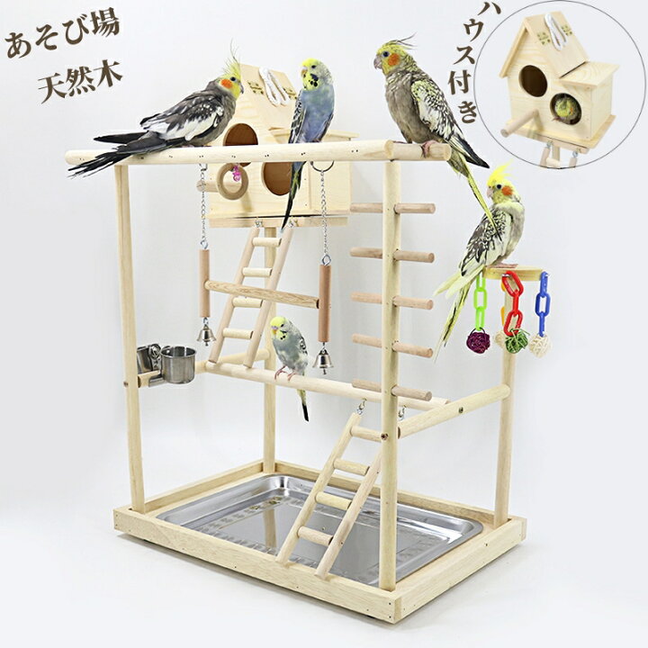 楽天市場】インコ おもちゃ 止まり木 スタンド バードトイ インコ 