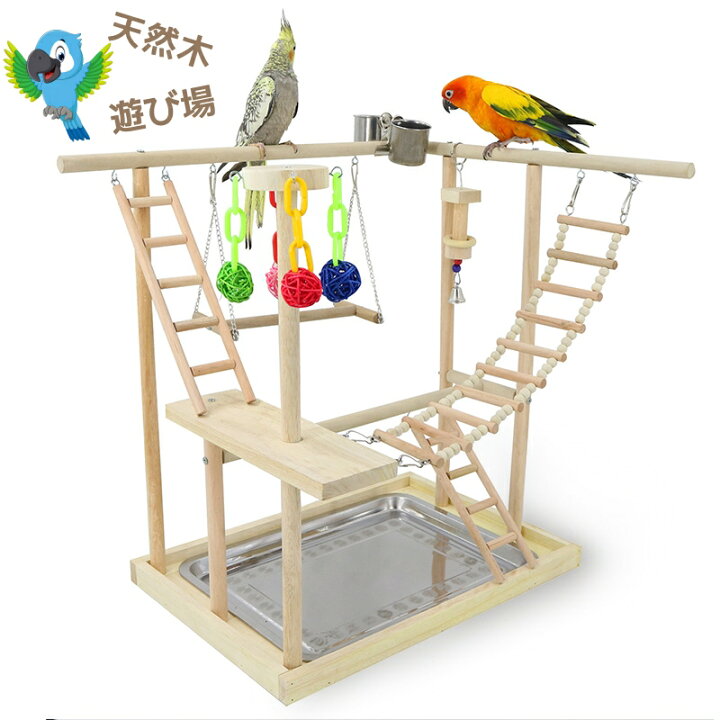 楽天市場】【お得なクーポン有り】インコ 鳥の止まり木 バード 