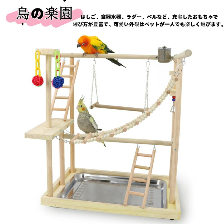 楽天市場】【動画あり】インコ 鳥の止まり木 バードアスレチック 