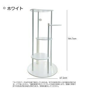 Lbg^[ ^ ؐ u  ^L VjAL 184cm FD  X ܌ W]