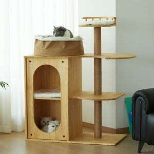 ^ Lbg^[ SʓVR L ̂t  Ή  LbX LpƋ lG K ܂Ƃ t  L̉