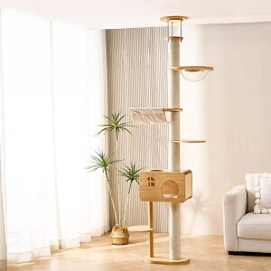 yX[p-SALE×10OFFzyVRؐzRpNgL^[ ̌^Lbgc[EnEXtiFD|bhE݌vj ȃXy[X I[V[YΉ LpWv SS݌v