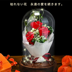 ͂Ȃ v[g  o KN ԑ [Y a LO NX}X o^Cf[ zCgf[ v|[Y  ̓ ʉ җj  p[eB[ j Mt