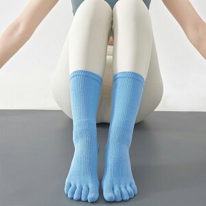 K\bNX fB[X 5{w KC seBX C seBX\bNX ~ߕt   K KEFA X|[c\bNX tBbglX \bNX W ܖ{wC g