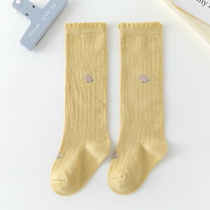  xr[\bNX q\bNX 2Zbg nC\bNX O\bNX C w  Ă΂ sAm \ oG qhXp ̎q t  H 킢 LbY WjA 