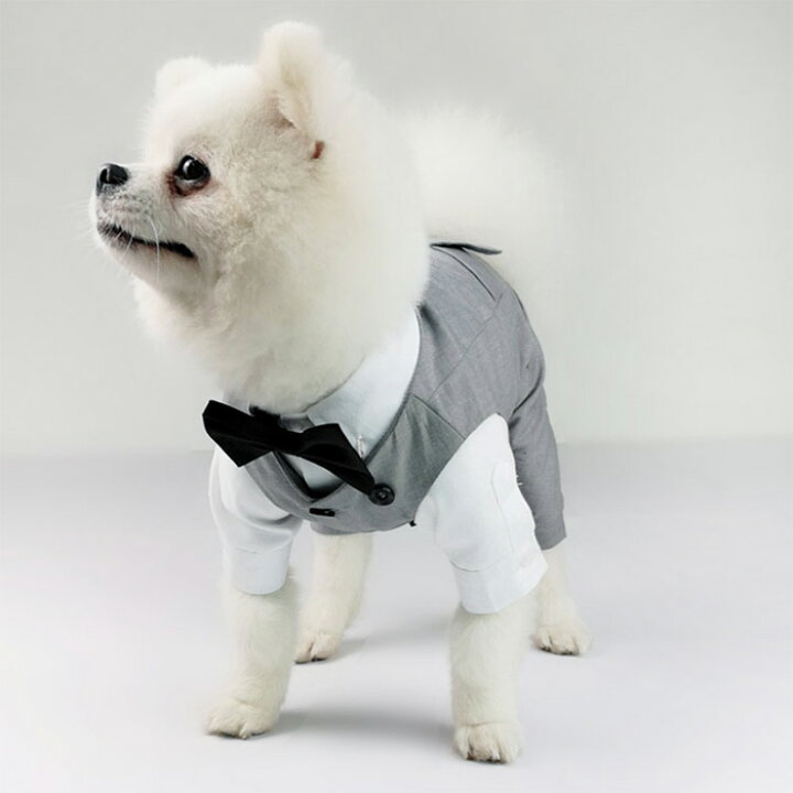 楽天市場 送料無料 ペット スーツセット ドッグ 犬 服 タキシード ベスト シャツ 2点セット お買い得 グレー 結婚式 フォーマル リングドッグ 記念日 お祝い 男の子 プレゼント 楽天海外通販 Kalavika