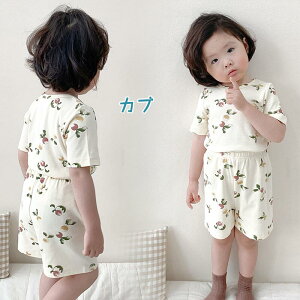  ėppcZbg xr[pW} LbY  IW} k  Zpc  ㉺Zbg t ̎q j̎q [EFA q Q  Rbg xr[pW