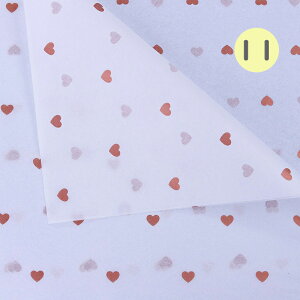  10 Ԃ̕ ԑ bsO 50cmx70cm n[g hbg  t[bsO  pbP[WO Y DIY fR[V A[g Mtg  ԉ a N