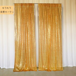 u2ZbgvLL XpR[ wiJ[e Rt 60X240cm*2 J[epl Bep wiz ǎ ʐ^wi  t fR[V Xe[W NX}X  a