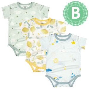  3Zbg xr[{fBX[c `FbN  V[gI[ xr[  p[X VMtgZbg k  Ԃ  q ĕ oYj yVC