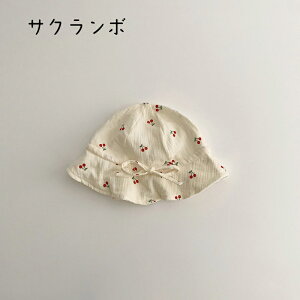  xr[Xq {lbg V Xq ΍L t ؍ Ђt 킢 xr[t@bV Ԃ xr[   ̎q oY oYj yVCOʔ