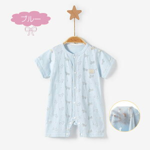  p[X OJ  V[gI[ V pW} xr[ {fBI[ Jo[I[  k  Ԃ  q ĕ oYj [΍ xr[EFA 