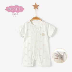  p[X OJ  V[gI[ V pW} xr[ {fBI[ Jo[I[  k  Ԃ  q ĕ oYj [΍ xr[EFA 