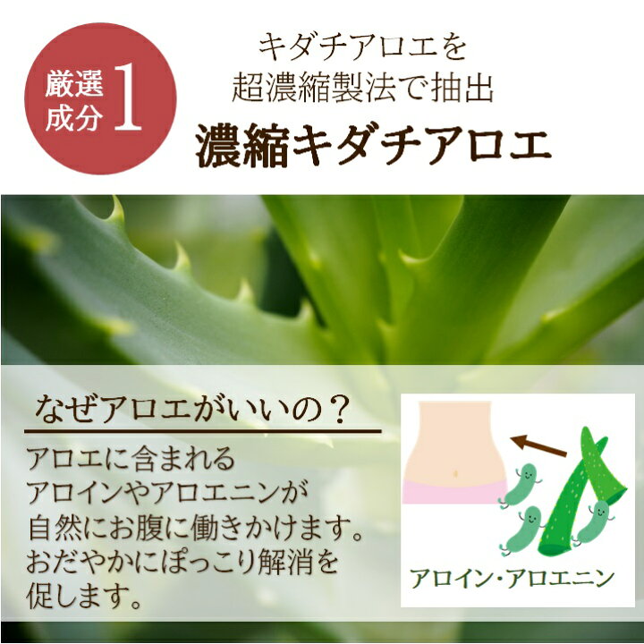 楽天市場 アロエ習慣 濃縮キダチアロエ ダイエット お通じ 乳酸菌 サプリメント サプリ 送料無料 60粒 カレイドスコープス