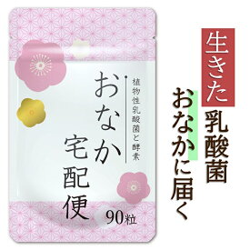 おなか宅配便 酪酸菌 植物性乳酸菌 ビフィズス菌 善玉菌 酵素 お通じ サプリメント サプリ 送料無料 90粒