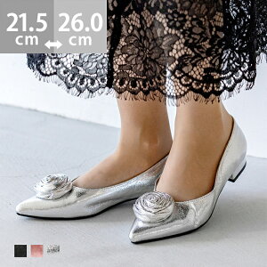  pvX  ₷ pvX fB[X tbg [q[ ɂȂ |CebhgD ^bN ꂢ   ubN Vo[ 21.5cm 26cm C