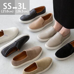  Vv Xb| RȂ Xj[J[ ӂӂC\[ tbgV[Y JWAV[Y fB[X tbg ؂ ɂȂ ₷  ubN zCg x