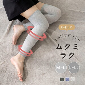 [֑0~ N~N ӂ͂T|[^[ \bNX p Dw  ނ AQp Q鎞 Ђ j[nC ӂ͂ pC C  bOEFA  ubN 