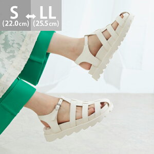  OJT_ fB[X T_ vbgtH[ XgbvT_ C V[Y EhgD StbN  y݌Ɍz