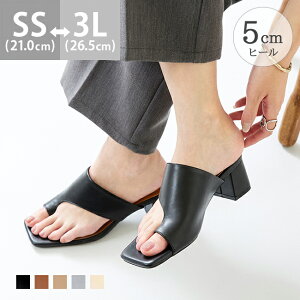  gOT_  ƂȂ ₷ fB[X `L[q[ 5Z` 炩 ɂȂ ₷ XNGAgD ~[ ꂢ  21cm 26.5cm