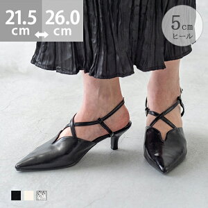  pvX  ₷ Xgbv EȂ fB[X sq[ q[5Z` y NbV ɂȂ |CebhgD ꂢ   21.5cm 26cm C