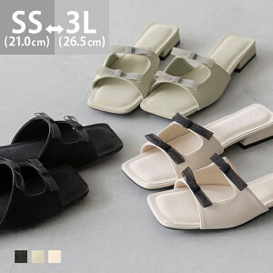  ~[ T_ Xbp  t  [q[ ɂȂ ₷ XNGA { `[ VA[ ꂢ   zCg  ubN SS 21cm 3L LLL 26.5cm