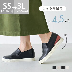  Xb| Xj[J[ fB[X RȂXj[J[ JWA 2e ɂȂ ₷ 傫TCY TCY Cq[Xj[J[ Cq[Xb| tbgV[