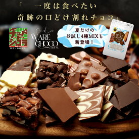 割れチョコ お試し 選べる25種 チョコレート　東京　自由が丘 チュべ・ド・ショコラ クーベルチュール　楽天スイーツランキング1位受賞！
