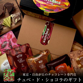チュベ・ド・ショコラ ギフトセット 割れチョコ　ミルク　ビター　ホワイト　マーブル　イチゴ　マカダミア　抹茶　オレンジ　小分け　チョコレート　クーベルチュール　プチ　ギフト　プレゼント　蒲屋忠兵衛商店　母の日