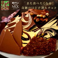 割れチョコ ミックス 12種　ミルクビターから選べる 　チョコレート　楽天スイーツランキング1位受賞！(1…
