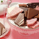 母の日 割れチョコMIX 東京　自由が丘　チュベ・ド・ショコラ　行列ができる割れチョコ　ギフト　贈り物　母の日　割…