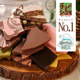 夏限定 割れチョコサマーMIX 8種　東京　自由が丘　チュベ・ド・ショコラ　行列ができる割れチョコ　お返し　家チョコ　友チョコ　割れチョコミックス【のし・ラッピング・メッセージカードOK】