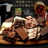 お試し 割れチョコ 選べる21種 東京 自由が丘 チュべ・ド・ショコラ クーベルチュール 割れチョコ ラッピング・ギフトバッグ不可 宅配便での発送