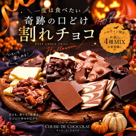 割れチョコ お試し 選べる25種 チョコレート　※10月下旬頃の発送　東京　自由が丘 チュべ・ド・ショコラ クーベルチュール　楽天スイーツランキング1位受賞！