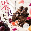 なんと53%OFF！割れチョコ ビター果実ゼリー 560g　東京 自由が丘 チュベ・ド・ショコラ クーベルチュールチョコレー…