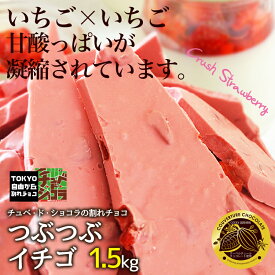 チュベ・ド・ショコラ 割れチョコつぶつぶ苺