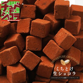 くちどけ生ショコラ 500g 生チョコレートをどっさり大容量！ 東京 自由が丘　チュベドショコラ　割れチョコ クーベルチュール　チョコレート 自分チョコ ギフト 贈り物