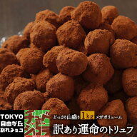 訳あり　運命のトリュフ チョコレート 1kg　送料無料 訳あり　トリュフ チョコレート スイーツ ギフト 洋…