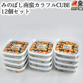 【送料無料】みのぼし南蛮 カラフルCUBE 12個セット 漬物 お弁当　おかず　漬け物 紫蘇　しそ　野菜　マルワマート maruwa mart 菅原紙器