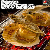 【送料無料】泳ぐホタテ 活ホタテ【特大】8枚 ヤマキイチ商店 ホタテ 活ホタテ 刺身 貝 海鮮 新鮮 岩手 …