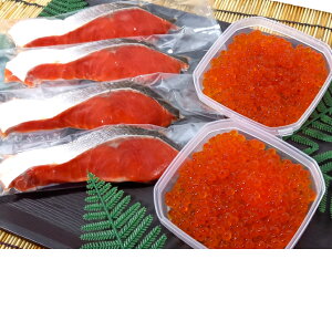 yzgEZbg    g ݖ Mtg 蕨 i쏤X Ε